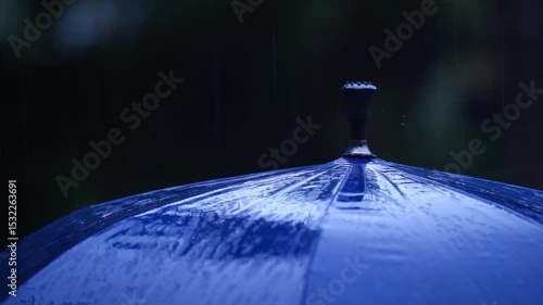 Raindrops fall on clear umbrellas under a dry tree branch and a heavy rain thunderstorm.
