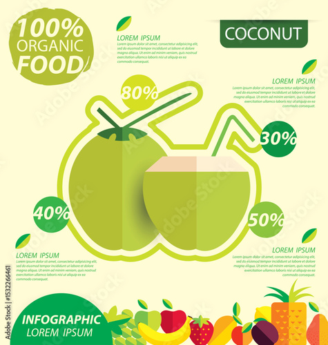 Coconut. Infographic template. vector illustration.