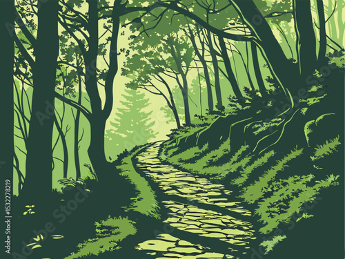 Monongahela National Forest Trail Vector