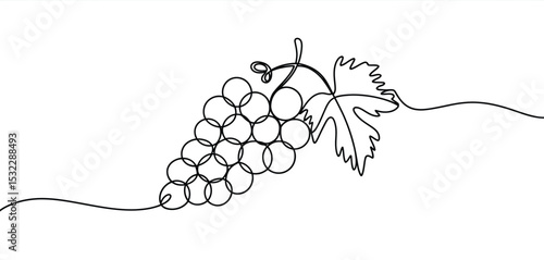 Single Line Drawing of Grapes with Leaf