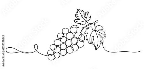 Single Line Drawing of Grapes with Leaf
