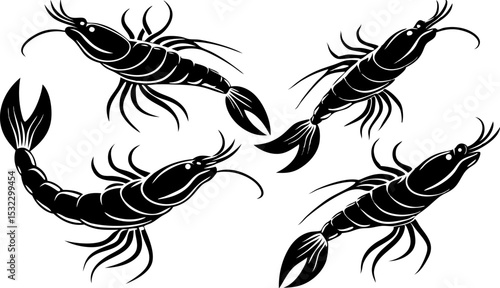 Vector silhouette of a couple of shrimps on a white background. Symbol of ocean animal
