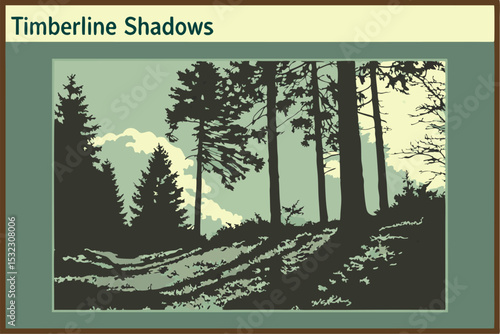 Timberline Shadows