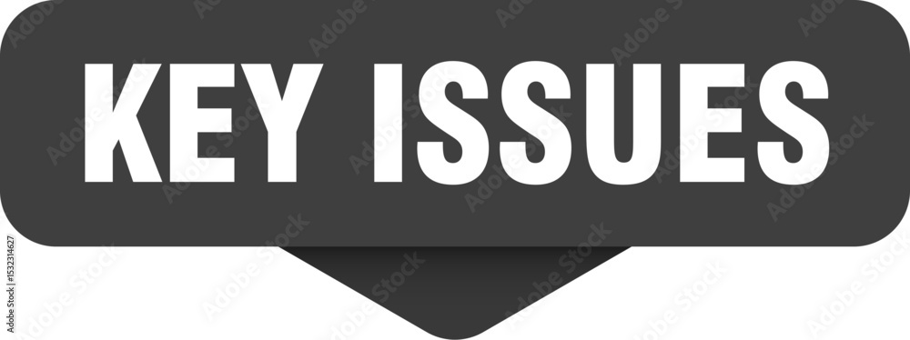 Obraz premium key issues sticker. key issues sign on transparent background