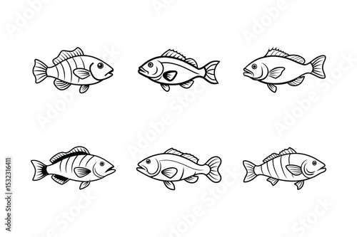 set of grouper fish line art vector illustration