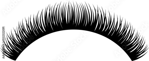 Beautiful Eyelash Extentions Illustration