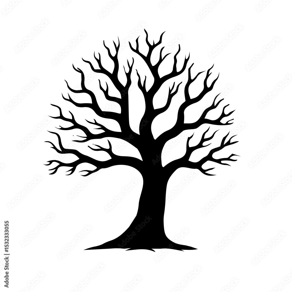 Obraz premium Acacia tree isolated on white background
