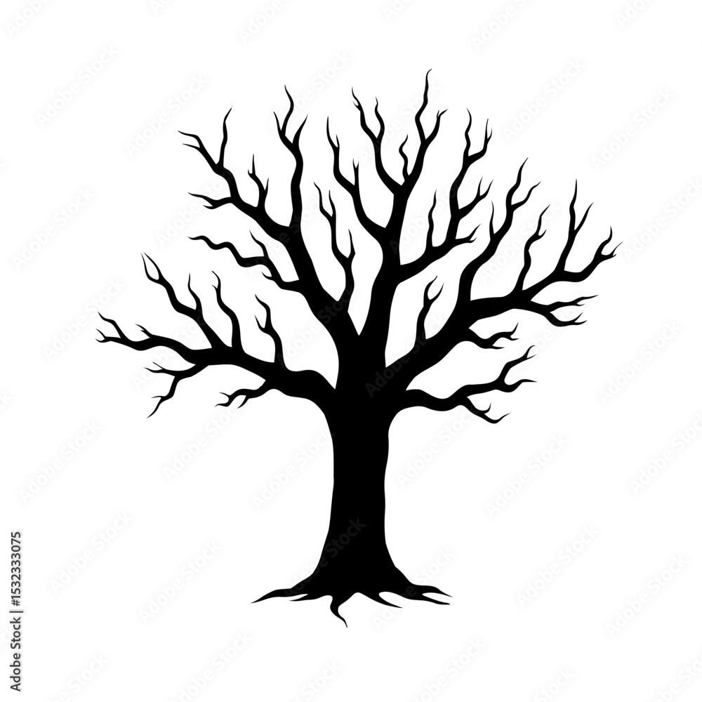 Fototapeta premium Acacia tree isolated on white background