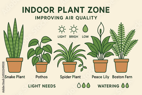 Indoor Plant Guide. Vector illustration of indoor plant zone improving air quality, with labeled varieties, light needs, and