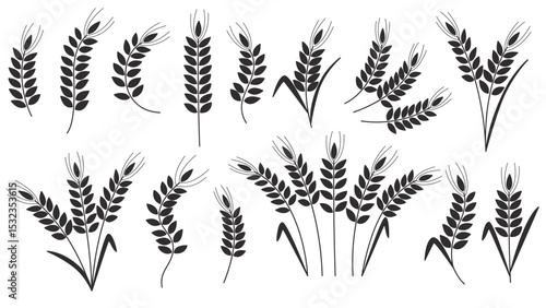 Black silhouette of ripe ears of cereal plants. Set of wheat, rye, barley, millet, oat ears or rice. Set of shadow elements symbol of grain agricultural crops, vector