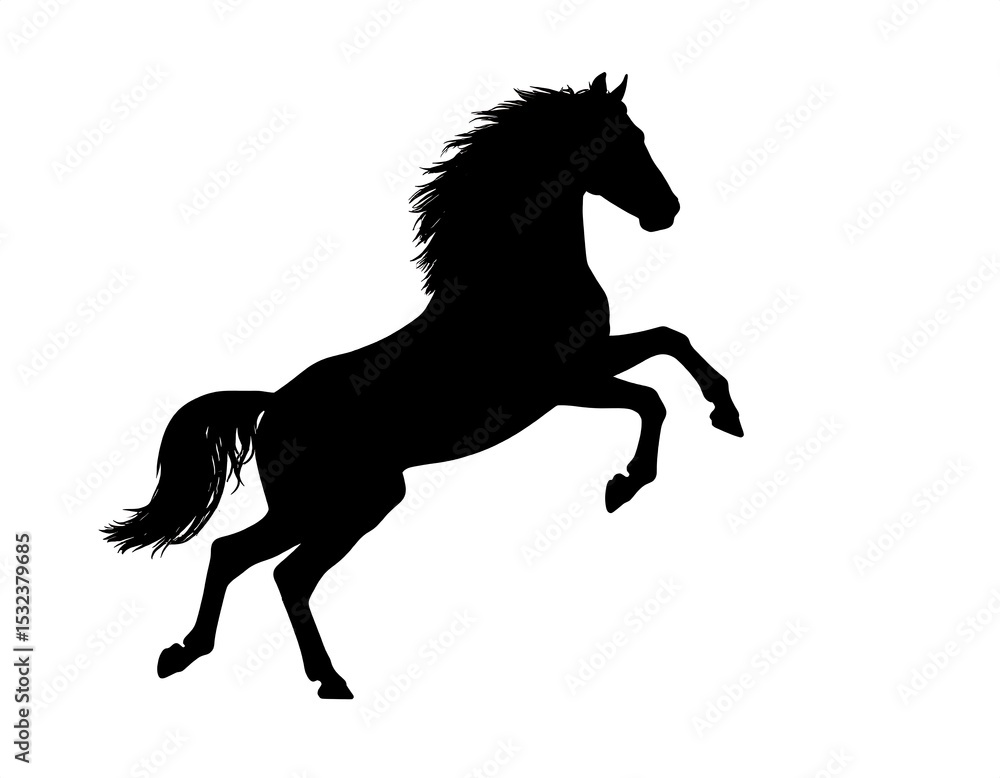 Silhouetted horse in a dynamic pose Silhouetted horse in a dynamic pose