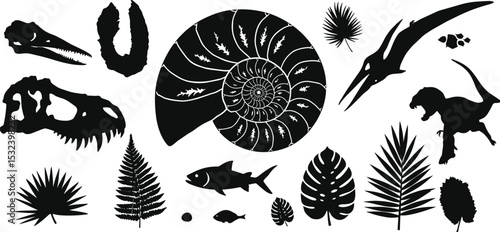Prehistoric dinosaur fossils, ancient animal skulls, ammonite shell, tropical plants, and Jurassic era silhouettes for educational, science, and vector design