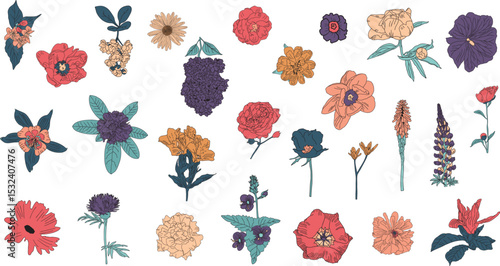 Flower colorful vector illustration collection. Great for wedding decor, invitations, birthday greeting cards. Hand-drawn botanical graphic elements. Peony, rose, lilac, tulip, lupine, lilly, daisy