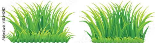 Green grass tuft illustration isolated on transparent background