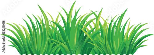 Green grass tuft illustration isolated on transparent background