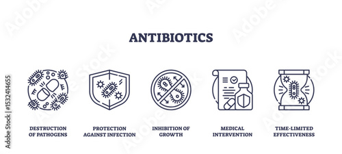 Antibiotics are depicted with icons showing bacteria destruction, infection protection, and medical intervention, transparent background. Outline icons set