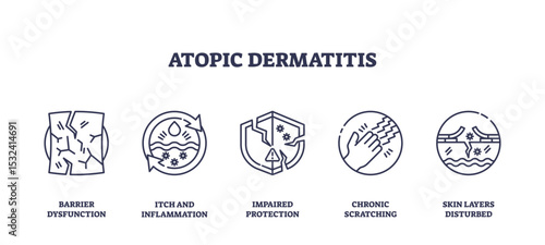 Atopic dermatitis is illustrated with outline icons showing skin barrier dysfunction, inflammation, scratching, and disturbed skin layers, transparent background. Outline icons set