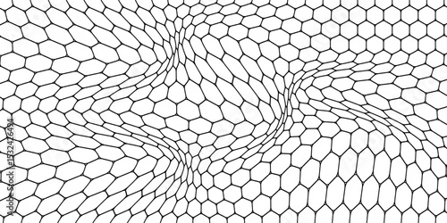 Black and white honey hexagonal cells background. Vector geometric hive hexagonal honeycombs. eps 10