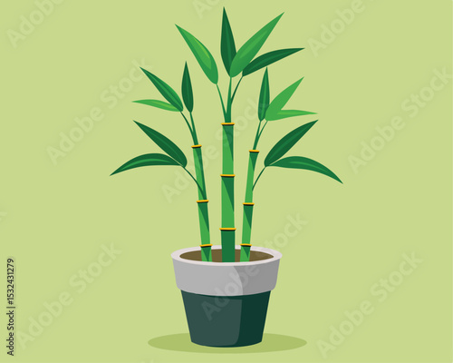 Lucky Bamboo Plant In Pot, Minimalist Botanical Illustration Design.