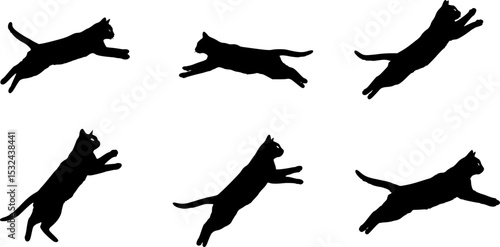 Cat Jumping High in the Sky, Capturing a Moment of Playful Agility and Grace, Set Against a Clear Blue Backdrop
