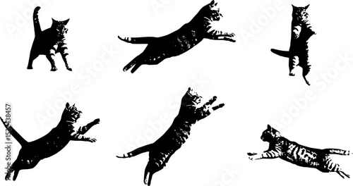 Cat Jumping High in the Sky, Capturing a Moment of Playful Agility and Grace, Set Against a Clear Blue Backdrop
