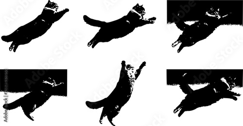 Cat Jumping High in the Sky, Capturing a Moment of Playful Agility and Grace, Set Against a Clear Blue Backdrop
