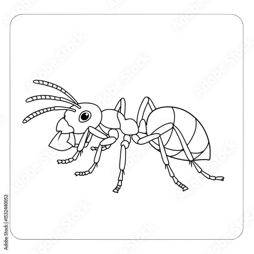 Ant Outline Detailed illustration of an ant with segmented body in black & white