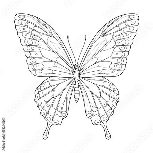 Line art of a butterfly with intricate wing patterns against a white background