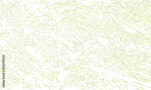 Line art pattern texture vector illustration green lines, grass lines