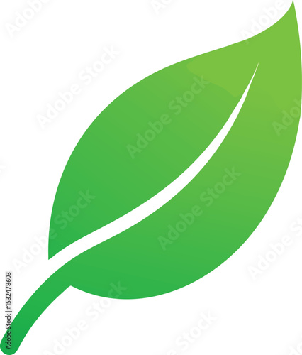 Leaf green icon. Ecology logo. Vector illustration
