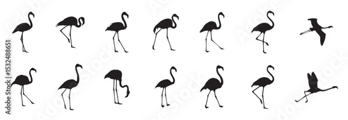 Elegant silhouettes of flamingos in various poses, perfect for minimalist design or nature-themed projects. These graceful birds showcase, Set of flamingos silhouettes drawing on a white background.