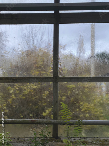 greenhouse in rainy cloudy weather