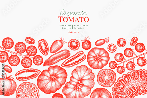 Hand Drawn Tomato Illustration. Retro Vegetable Vector Design Template. Old School Farm Food.