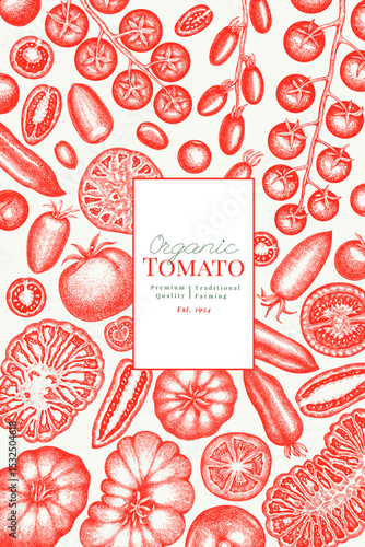 Hand Drawn Tomato Illustration. Retro Vegetable Vector Design Template. Old School Farm Food.