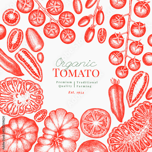 Hand Drawn Tomato Illustration. Retro Vegetable Vector Design Template. Old School Farm Food.