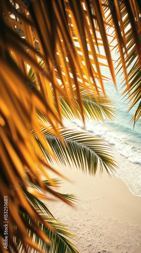Golden Palm Fronds Overlooking Tropical Beach