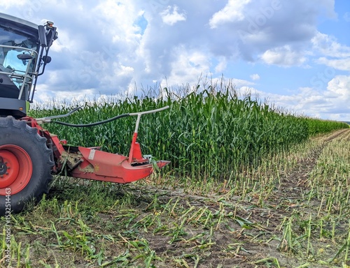 Harvesting corn with a forage harvester in the field. The combine harvester cuts tall green corn plants in a large agricultural field under a partly cloudy sky.