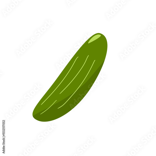 fresh green cucumber vector. Healthy vegetable flat design