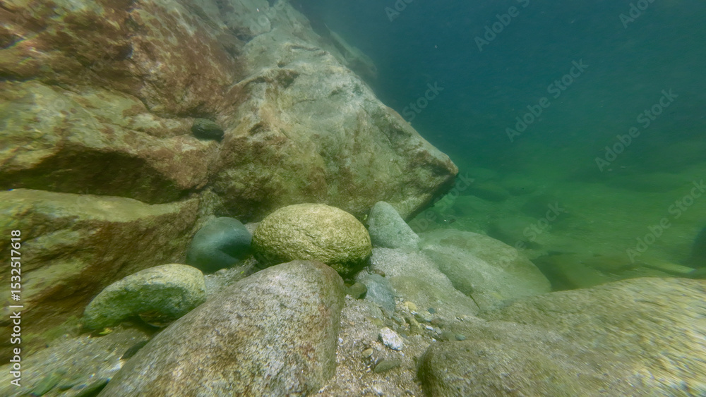 Fototapeta premium Rocky bottom of a freshwater river. View of large and small stones on the river bottom underwater.