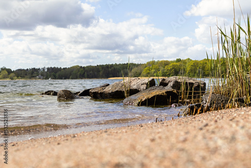 Slika na platnu Rocks and coastal reeds meet the gentle waves of the Baltic Sea sandy beach on Vaxholm island, Sweden