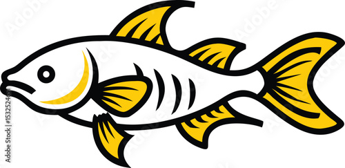 Detailed corydoras catfish illustration on white background