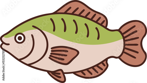 Detailed gourami fish illustration on white background