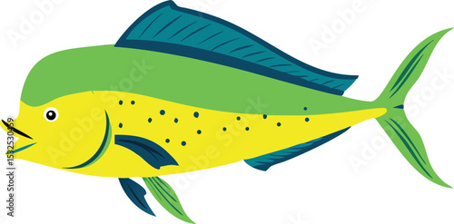 Detailed mahi mahi fish illustration on white background