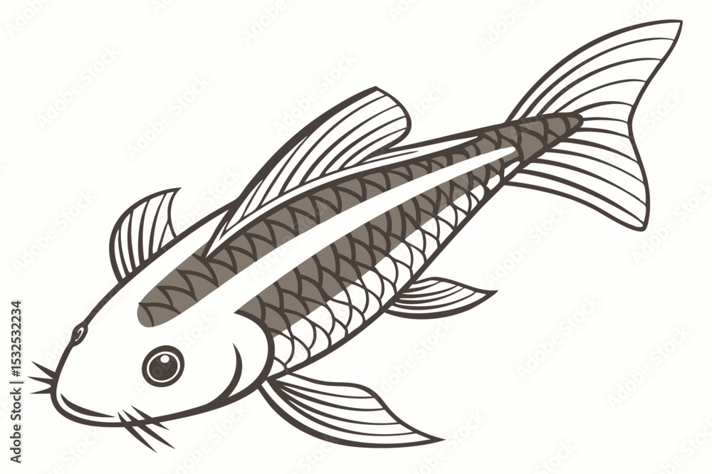 Obraz premium Detailed otocinclus fish illustration on white background