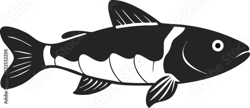 Detailed illustration of otocinclus catfish on white background