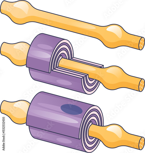Illustration of myelin sheath wrapping around a nerve fiber, showing its protective layers.