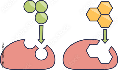 Illustration of hormone-ligand binding with receptors, showing molecular interaction.