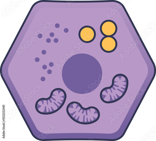 Illustration of a liver cell with organelles, symbolizing cellular function.