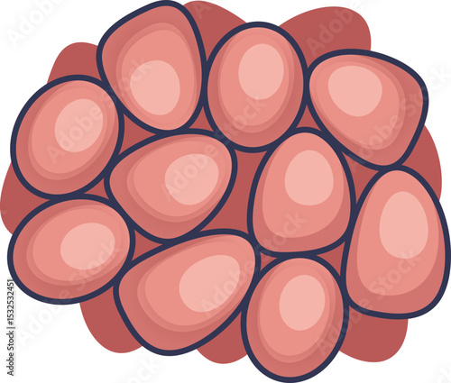 Illustration of a cluster of cells, symbolizing growth and development in a biological context.