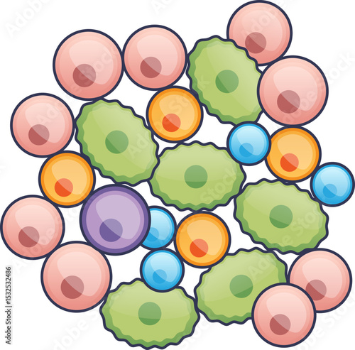 Illustration of pancreatic islet cells in various colors, symbolizing cell diversity.